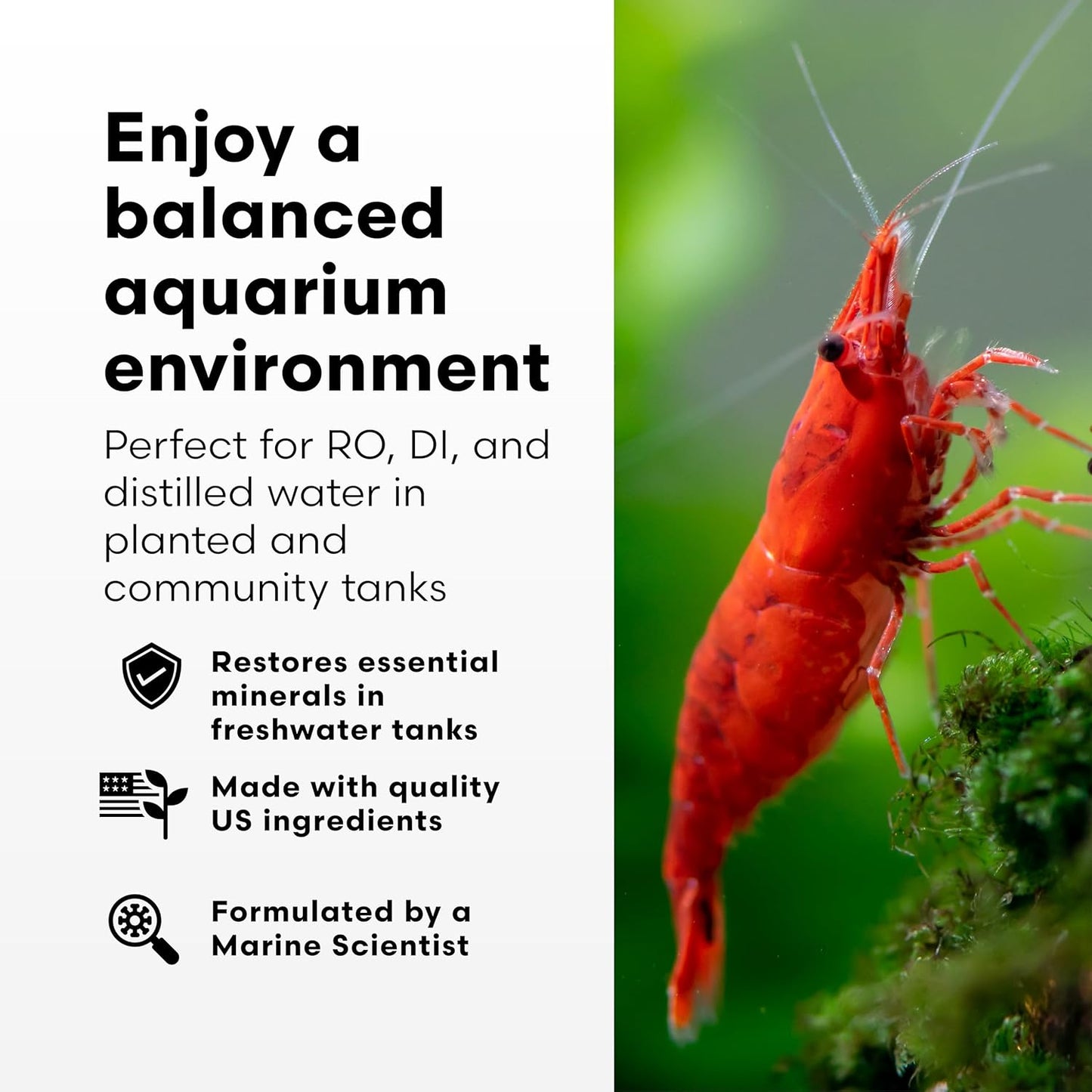 Brightwell Aquatics Remineralīz-P – Restores GH & TDS for Freshwater Aquariums, Replenishes Essential Minerals for RO & Distilled Water, Supports Fish & Plant Health, 500g