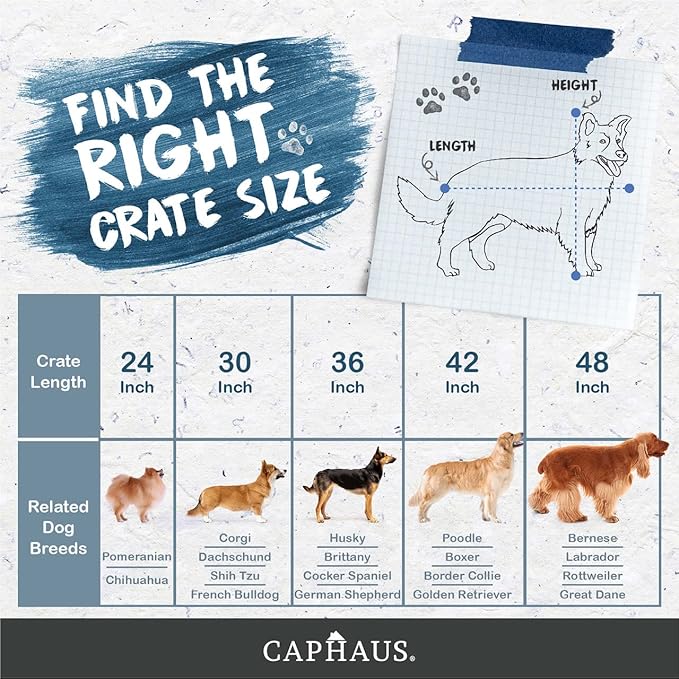 CAPHAUS Foldable Dog Crate Wire Metal Dog Kennel w/Leak-Proof Pan & Protecting Feet & Divider Panel, Single or Double Door, Small, Medium & Large Indoor Wire Cage, 24” w/Single Door