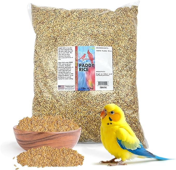 Morning Bird Paddy Rice 9 lbs Bird Seed for Health & Nutritious Bird Food – High Fiber with Natural Vitamins and Minerals - Supports Feathers & Immune Defense – Ideal for All Seed Eating Birds.