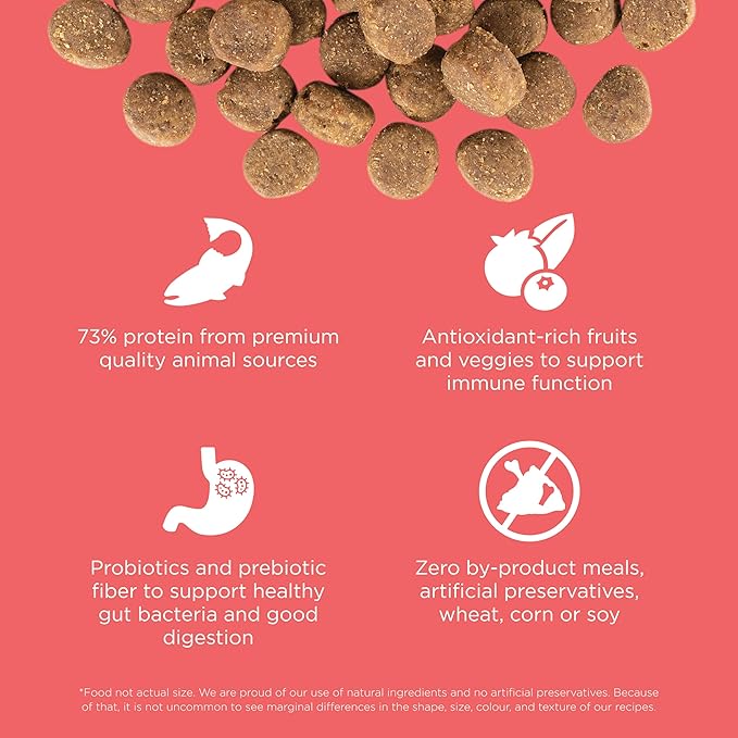 Go! Solutions Carnivore Salmon + Cod Grain-Free Dry Dog Food, Our Highest-Protein Kibble Made with Real Meat & Fish, Chicken-Free Recipe, for Puppies, Adults & Seniors, 12 lb Bag