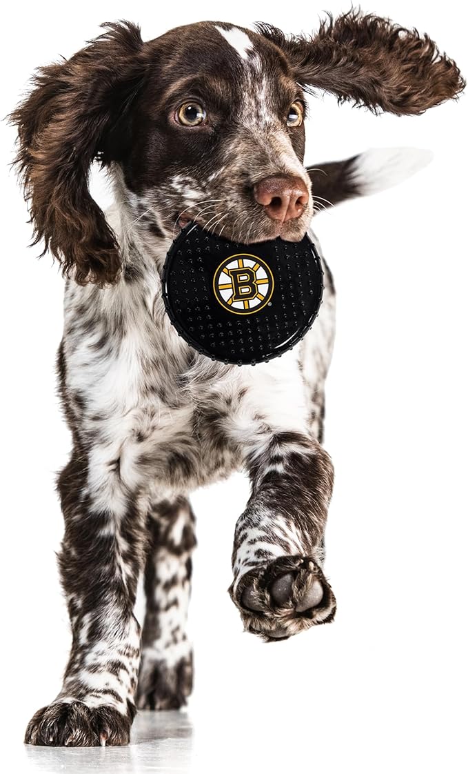 Pets First NHL Boston Bruins Hard-Nylon Bacon-Flavored Hockey-Puck Chew Toy, Indestructible Dog and Cat Chewy Toy, Tug, Fetch Toy, Sporty Fun Toy for Dogs