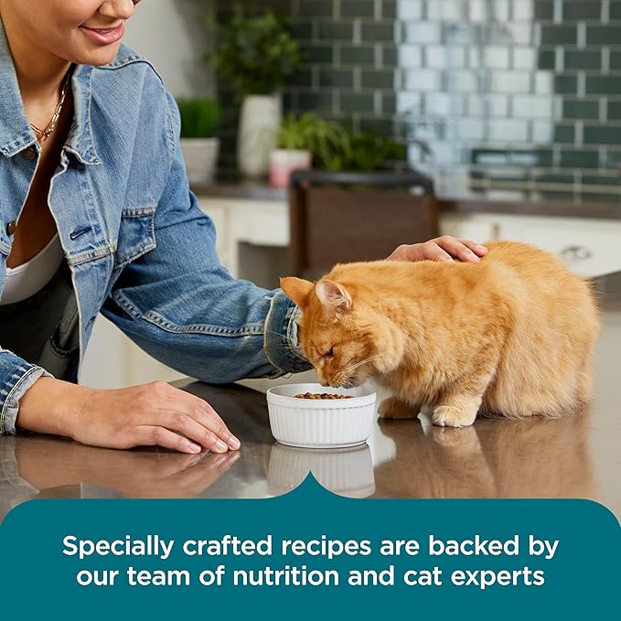 Nutrish Rachael Ray Dry Cat Food Real Salmon & Brown Rice Recipe, 5 lb. Bag