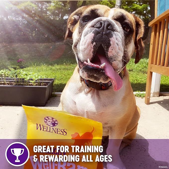 Wellness WellBars Crunchy Dog Training Treats, Natural, Grain Free, Yogurt, Apples and Banana Recipe, 45 oz Bag