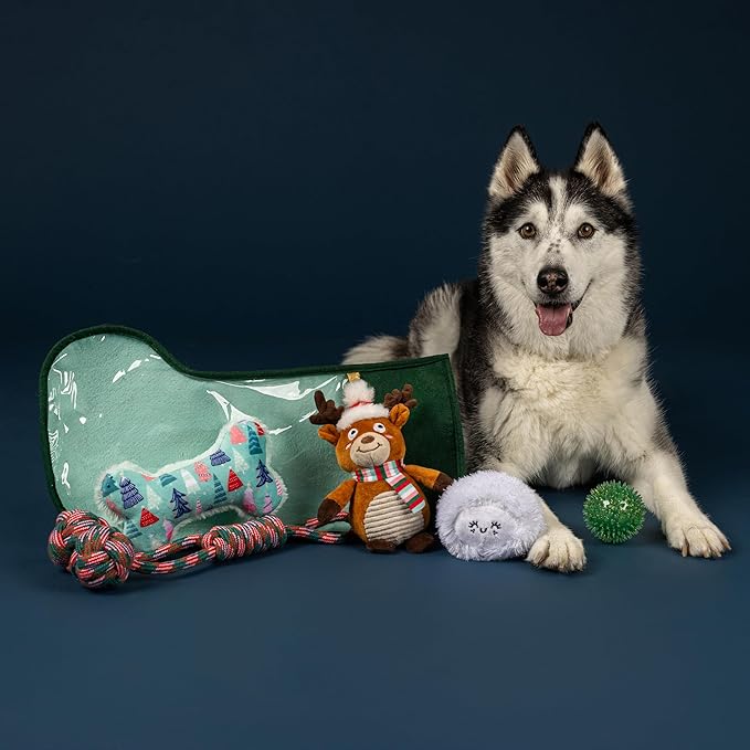 Fringe Studio Pet Toy, Happy Pawlidays Dog Toy Stocking 6 Piece Set, PetShop Collection (630020)