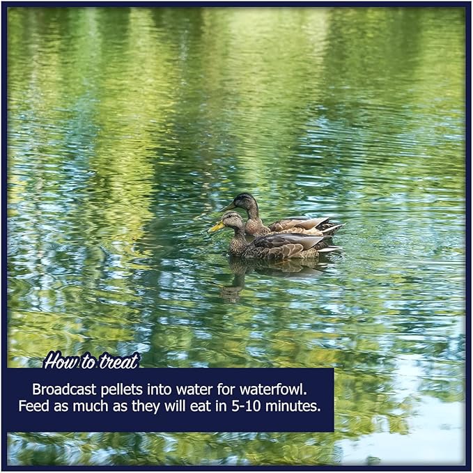 Natural Waterscapes Waterfowl Feed (5 lb) Floating Duck Food | for Wild Ducks, Pet Ducks, Geese, Swans