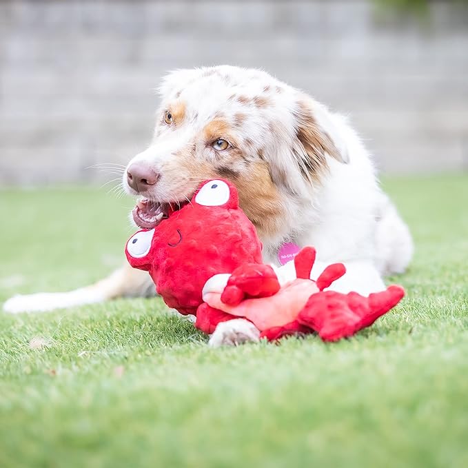 Huxley & Kent Slappies for Dogs | Claude Lobster (Large) | Squeak & Shake Dog Toy | No Stuff Squeaky Toy, TPR Ball in Head | Simulates Hunting Nature for Dogs