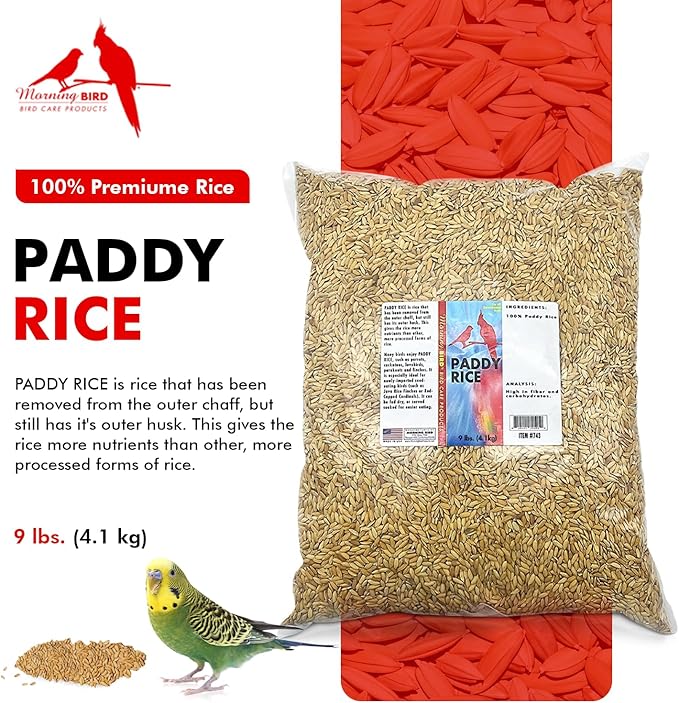 Morning Bird Paddy Rice 9 lbs Bird Seed for Health & Nutritious Bird Food – High Fiber with Natural Vitamins and Minerals - Supports Feathers & Immune Defense – Ideal for All Seed Eating Birds.