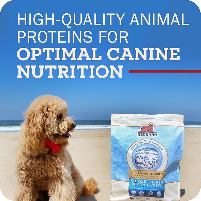 Redbarn Grain-Free Adult Dry Dog Food Kibble - Ocean Fish Recipe - Made in USA No Chicken Recipe with Functional Ingredients to Support Healthy Heart, Skin, Coat, Immunity & Digestion - 4lb