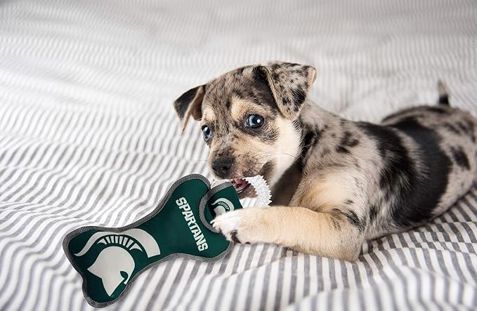 Pets First NCAA Notre Dame Fighting Irish Dental Dog TUG Toy with Squeaker. Tough PET Toy for Healthy Fun, Teething & Cleaning Pets Teeth & Gum