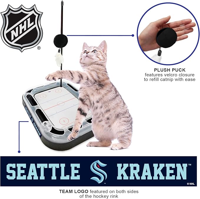 Cat Scratching Toy Hockey Field ICE HOCKEY RINK Cat Scratcher Toy with Interactive Cat Ball Bell in Tracks. 5-in-1 CAT TOY: Cat Wand Poll, CATNIP FILLED Plush Hockey Puck & Feathers
