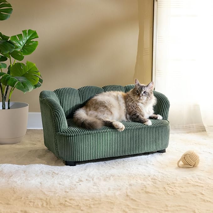 Paws & Purrs Retro Scalloped Back Sofa Style Pet Bed, Dog & Cat Couch with Tufted Cushion & Armrest, Stylish Indoor Pet Furniture, Sage