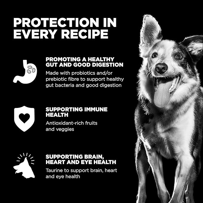 Go! Solutions Carnivore Chicken, Turkey + Duck Grain-Free Dry Puppy Food, Our Highest-Protein Kibble Made with Real Meat & Fish, Pumpkin & Probiotics for Good Digestion, 3.5 lb Bag