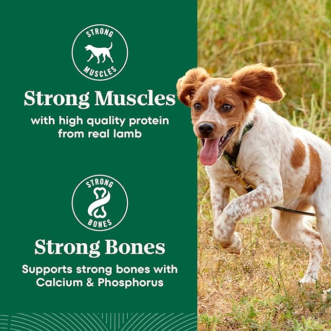 Nutro Natural Choice Small Bites Dry Dog Food, Adult Dog Food Dry Chicken and Brown Rice Recipe, 30 lbs.