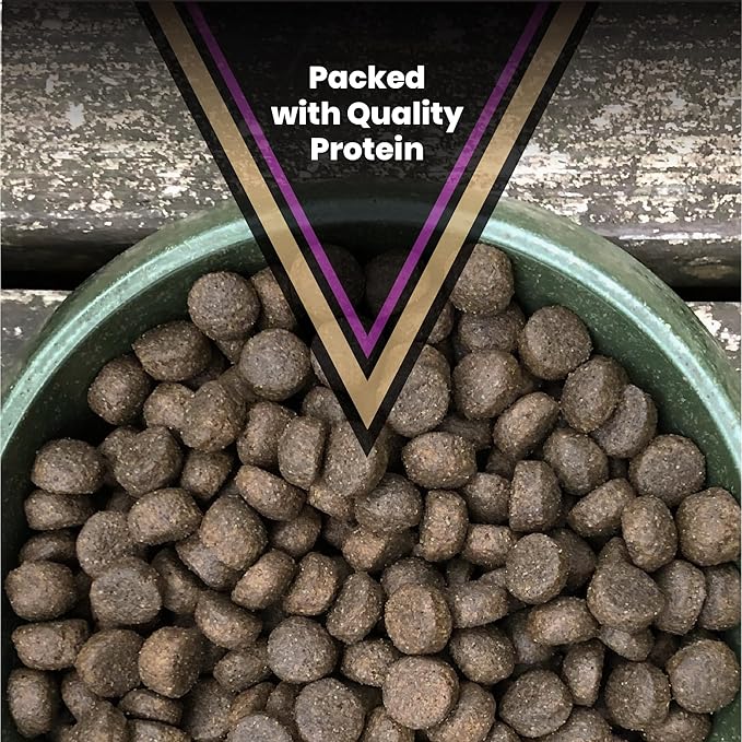 VICTOR Super Premium Dog Food – Professional Kibble Food – Super Premium Kibble with 26% Protein – Gluten-Free with Beef, Chicken & Pork Meals – for High Energy and Active Dogs & Puppies, 5lbs