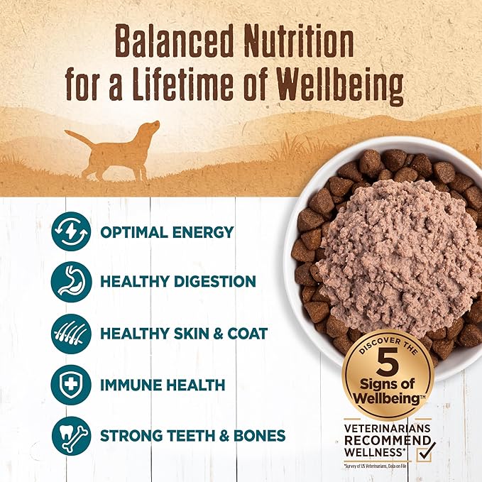 Wellness 95% Whitefish Adult Canned Wet Dog Food, Grain Free, Natural, 13.2 oz, Pack of 12 Cans
