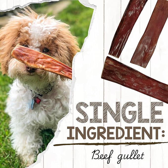 Nature Gnaws Beef Gullet Chews for Small Dogs 4-5" (20 Count) - Natural Beef Jerky Stick Dog Chew Treats - Rawhide Free