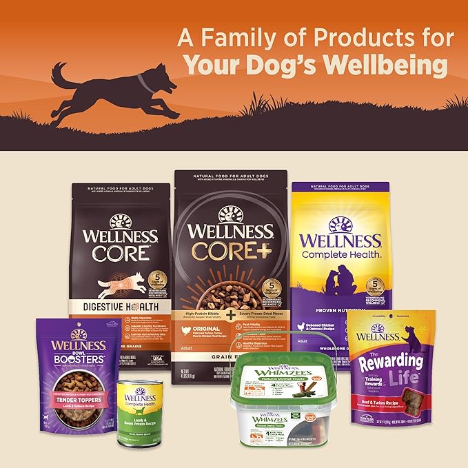 Wellness CORE 95% Adult Canned Wet Dog Food, Grain Free, Natural, Turkey with Spinach Recipe, 12.5 oz, Pack of 12 Cans