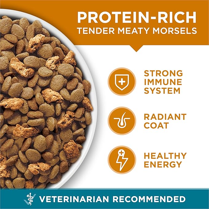Purina ONE Natural Dry Cat Food, Tender Selects Blend With Real Chicken - 7 lb. Bag