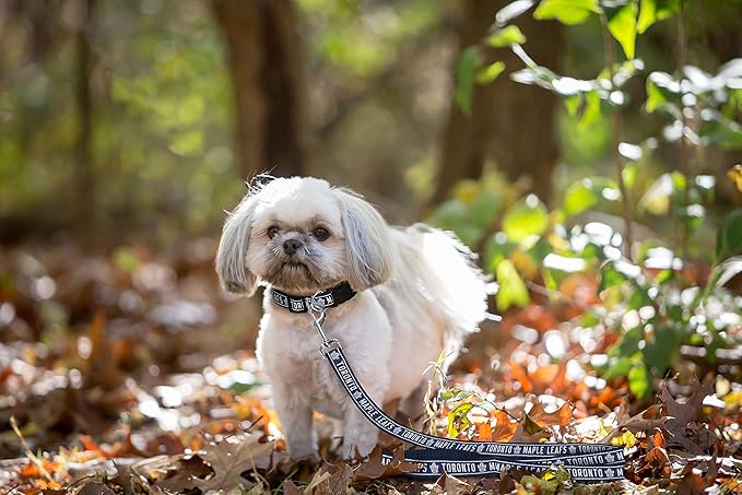 Pets First NHL Toronto Maple Leafs Leash for Dogs & Cats, Large. - Walk Cute & Stylish! The Ultimate Hockey Fan Leash!, 6 ft Long x 1 in Width, TOR-3031-LG
