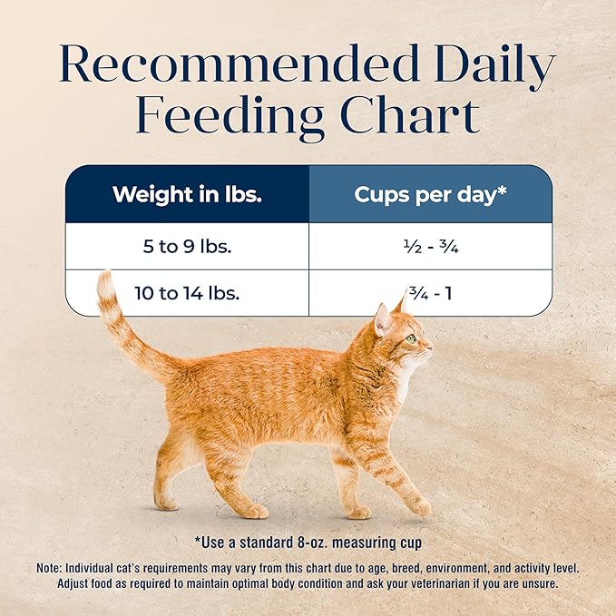 Blue Buffalo Basics Grain-Free Dry Cat Food, Skin & Stomach Care, Limited Ingredient Diet for Mature Indoor Cats, Turkey & Potato Recipe, 11-lb. Bag