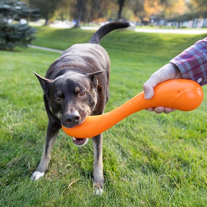 KONG Squeakz Dog Toy – Durable Rubber Fetch & Chew Toy with Squeakers, Interactive Enrichment Toy for Active Dogs (Stick, Large)