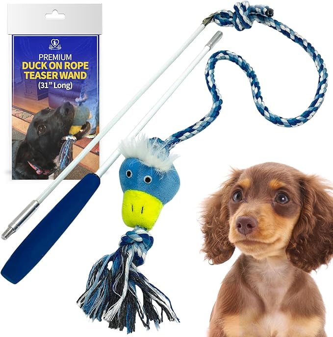 PET FIT for Life Plush Wand Squeaky Dog Toy