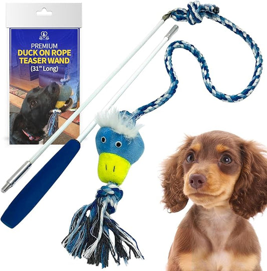 PET FIT for Life Plush Wand Squeaky Dog Toy