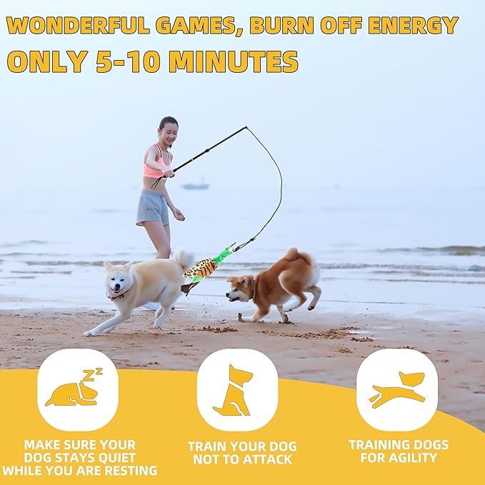Flirt Pole Dogs, Dog Chase Toy with Squeakers Inside, Dog Fishing Pole Toy for Large Medium Small Dogs to Keep The Puppy Entertained and Physically Exhausted, Ball+Duck