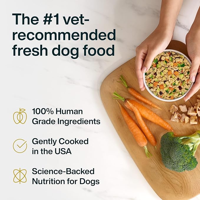 JustFoodForDogs Frozen Fresh Dog Food, Complete Meal or Dog Food Topper, Turkey & Whole Wheat Macaroni Human Grade Dog Food Recipe, 18 oz (Pack of 21)
