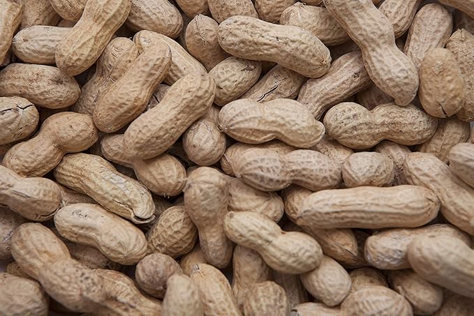 in-Shell Peanuts All Natural Wild Bird Food 5 lbs