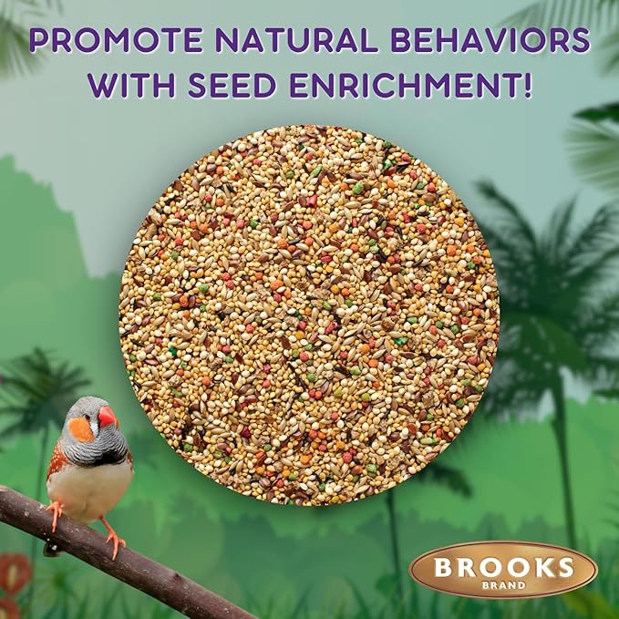 Brooks Brand Grains Plus Finch Blend Bird Food, Nyjer Seeds, Finches Bird Seed Mix, Gold Finch Niger Seeds for Birds, Finches Food for Indoor Birds (4.5 lbs)