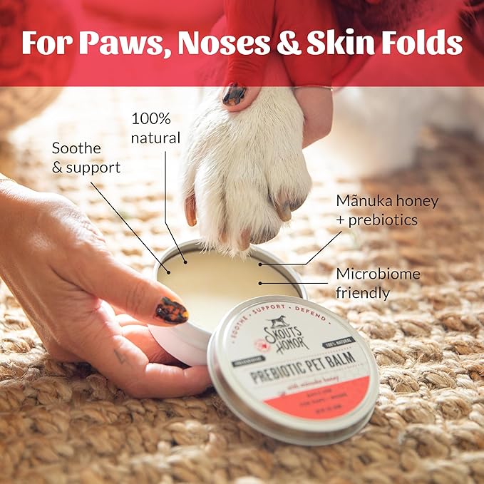 SKOUT'S HONOR Prebiotic Pet Balm - 100% Natural and Made w/Manuka Honey to Promote Healing of Your pet's paw Pads and Nose, Soothes Dry, Itchy Paws and Noses - Safe for Cats and Dogs, 2oz, 4-Pack