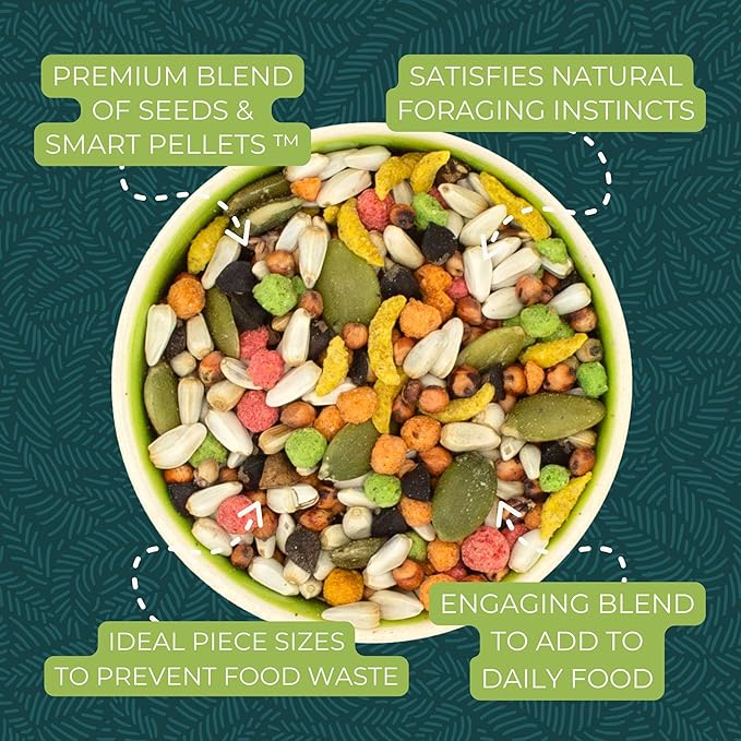 ZuPreem Sensible Seed Bird Food – Seed Mix Topper for Cockatiels, Lovebirds, Quakers & Small Conures – Enrichment Seed Blend for Medium Birds, 2 lb (Pack of 2)