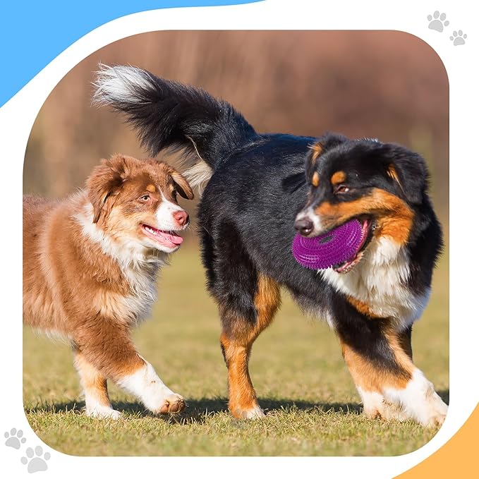 Silipull 4 Pcs Spiky Squeaker Football Dog Toy for Medium Large Dogs Spiky Dog Balls Puppy Chew Toys for Aggressive Chewers Training Fetch(Fresh,Various Sizes)