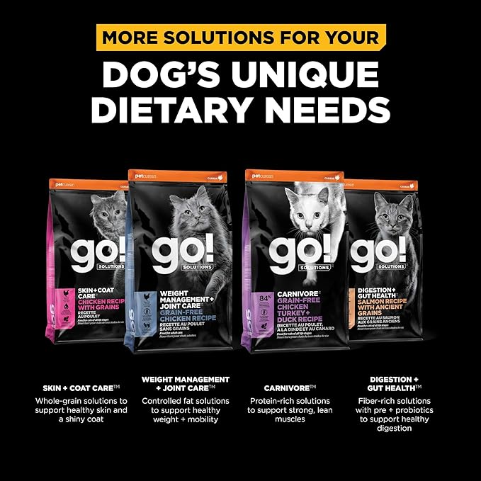 Go! Solutions Sensitivities Limited Ingredient Insect Grain-Free Dry Cat Food, Chicken-Free Kibble Made by Experts for Sensitive Stomachs & Food Allergies, for Adults, & Seniors, 6 lb Bag