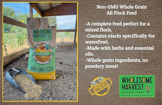 All Flock Feed, High Nutrition Layer for Flocks, Non-GMO Duck, Turkey, Geese and Chicken, Whole Grain 40 lbs Pack