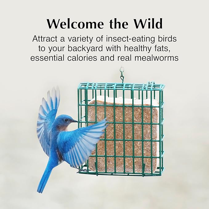C&S Mealworm Delight No Melt Suet Dough, Suet Cakes for Wild Birds Including Robins, Blue Jays, Woodpeckers, Wrens, Bluebirds and More, 11.75 Ounces, Pack of 8
