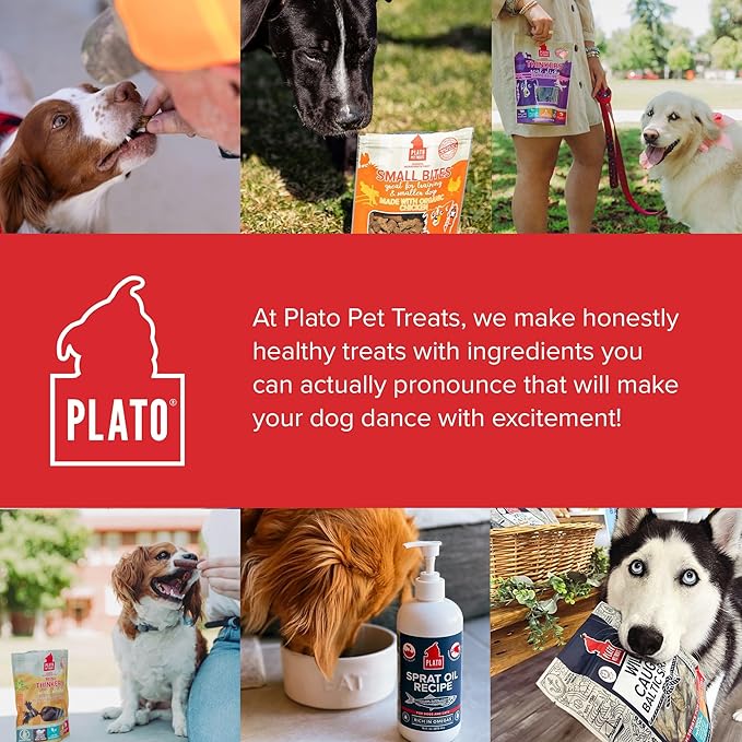 Plato Pet Treats Air Dried Dog Treats Salmon Thinkers Sticks, Natural Dog Treats, Real Meat, Air Dried, Made in the USA, 10oz