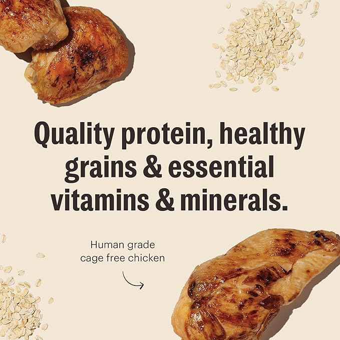 The Honest Kitchen Human Grade Essential Clusters Dry Dog Food, Whole Grain Chicken 5 lb Bag