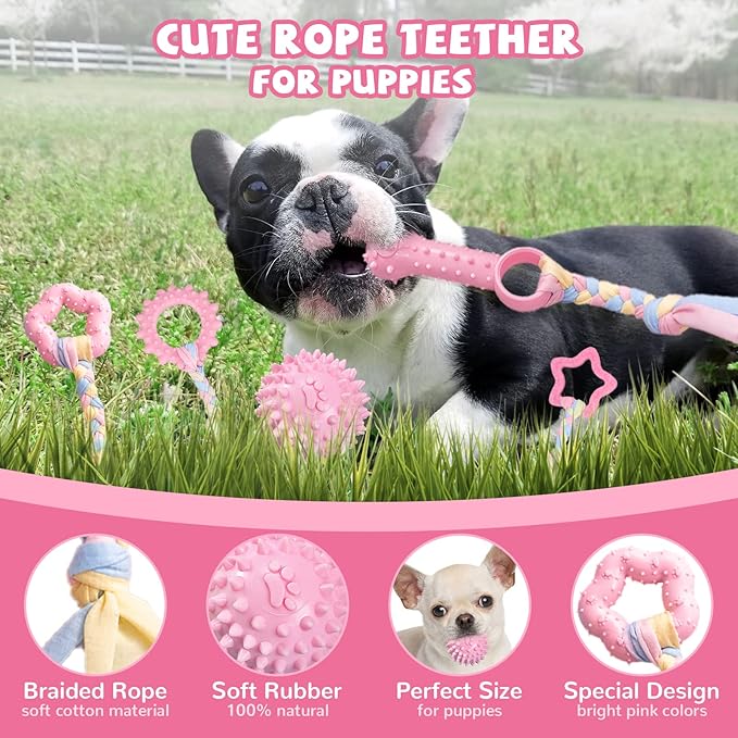 ABRRLO 6 Pack Puppy Teething Toys Cute Pink Puppy Chew Toys for Teething Small Breed Dog Chew Toy Interactive Pet Toy Set for Puppies to Keep Them Busy Soft Durable Small Breed Doggy Chewing Ball
