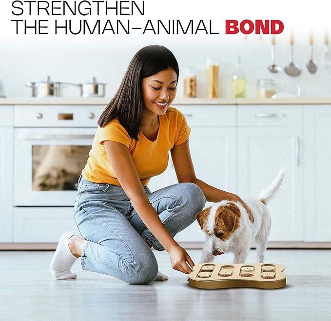 SPOT Interactive Seek-A-Treat Shuffle Bone Dog Toy Puzzle | Dog Treat Reward Toy Improves Your Dog's IQ | Specially Designed for Training Treats