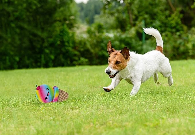 Pets First LaurDIY Ice Cream Cone Plush Pet Toy with Rope & Squeaker - LAURDIY Super Cute Dog Nylon Toy