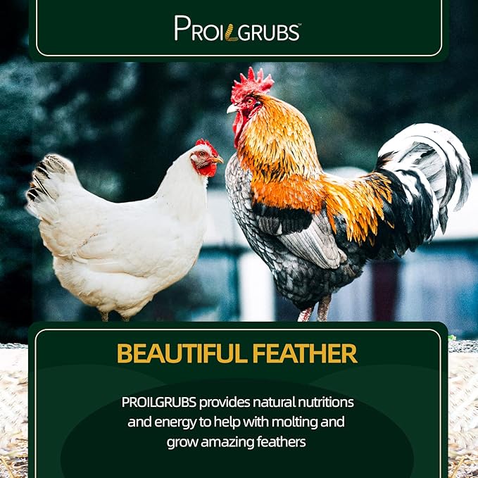 PROILGRUBS 10 LBS - Non-GMO-Worms for Chickens All Natural Dried Black Soldier Fly Larvae Treats, High Protein Worms for Chickens, Hens, Birds.