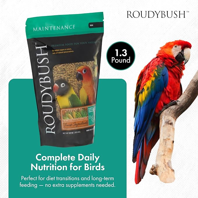 Roudybush Daily Maintenance Bird Food, Mini, 22-Ounce
