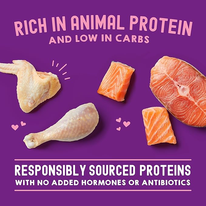 Stella & Chewy's Carnivore Cravings Wet Cat Food - Premium Pouches - Grain Free, High Protein Chicken & Salmon - Perfect for Picky Eaters - Complete Meal or Topper (2.8 oz, 12 Pack)