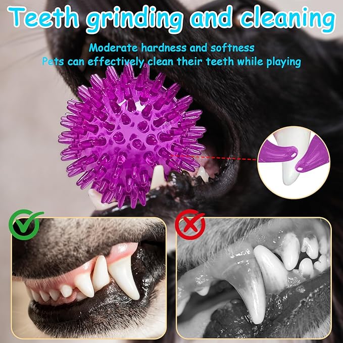 Squeaky Ball for Dogs | Spiky Dog Toy with TPR Rubber | Puppy Teething Ball & Chew Toy | Cleans Teeth & Resists Biting | for Small Medium Dogs & Cats | Interactive Fetch Toy