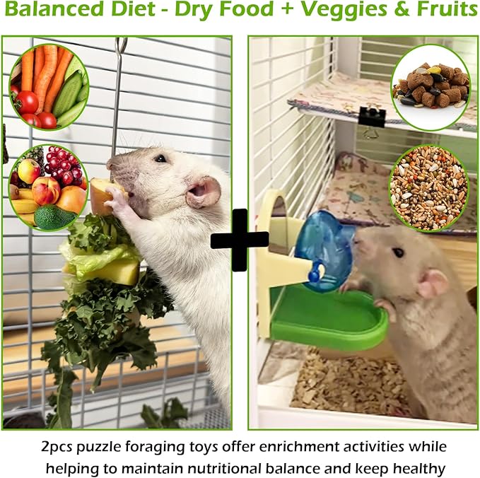2Pcs Rat Enrichment Toys Set - Stainless Steel Fruit/Veg Holder & Treat Dispenser, Interactive Foraging Puzzle Toys for Rats/Mice/Birds, Cage Accessories with Hanging Feeder & Intelligence Game