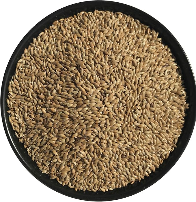 Rex Products,INC Canary Seed 4.5LB/ Plain 100% Doble Cleaned/Bird Food Ideal for Canaries, Finches, Parakeets, Conures, and Budgies