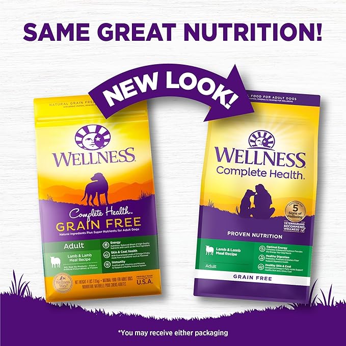 Wellness Complete Health Adult Dry Dog Food, Grain Free Kibble, Natural, Lamb Recipe, 22 lb Bag
