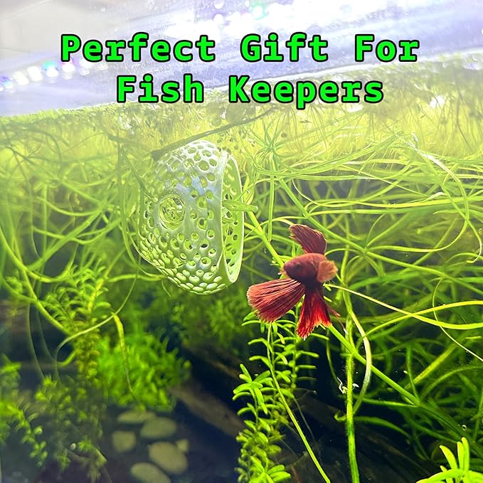 CTWPets Natural Betta Bulb Hide | Betta Rest Fish Tank Ornament | Aquarium Cave with Suction Cup for Small Fish Tank, Betta Habitat, Shrimp Hideout, Aquatic Decor (Light Brown)